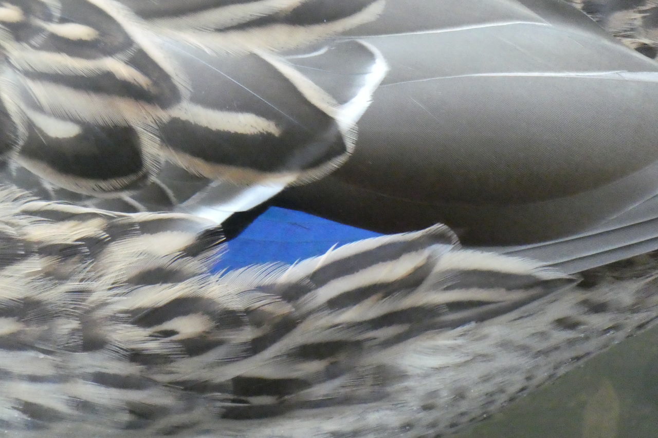 HIGH ANGLE VIEW OF WATER FLOWING FROM CONTAINER