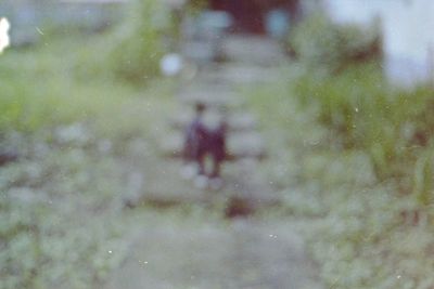 Close-up of blurred background