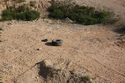 High angle view of sand on field