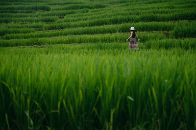 Scenic view of agricultural field