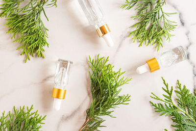 Glass dropper bottles with cosmetic oil, essential or serum on marble background with thuja branches