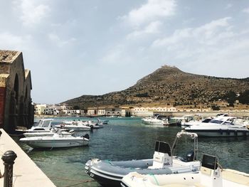 Sailboats moored in harbor