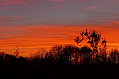 Silhouette trees on field against orange sky