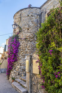 Low angle view of flowering plants against old building