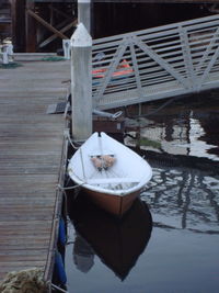 High angle view of bird in water