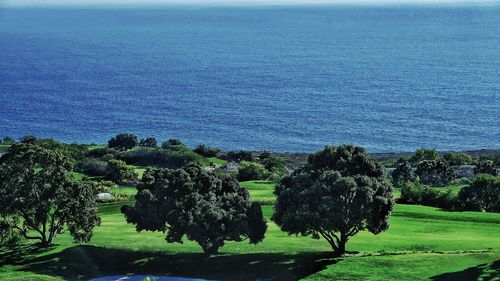 High angle view of trees by sea against sky