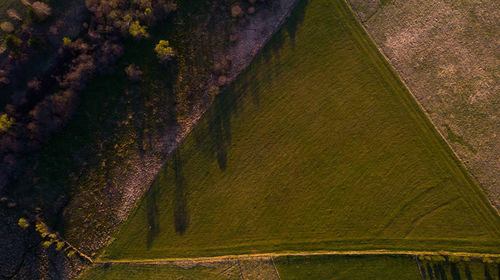 High angle view of agricultural field
