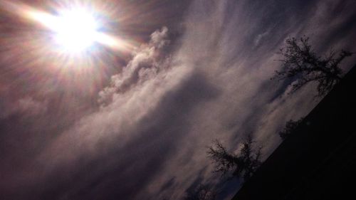 Low angle view of trees against sky