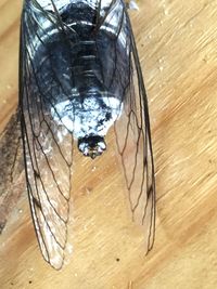 Close-up of wooden planks on table