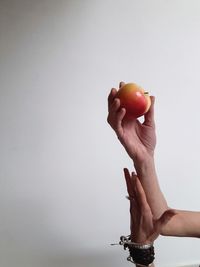 Midsection of man holding apple against white background
