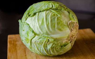 Close-up of cabbage