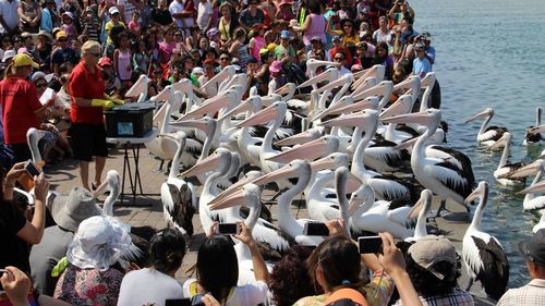 High angle view of people enjoying in water