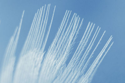 Low angle view of vapor trail in sky