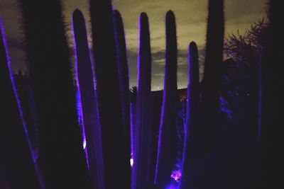 Full frame shot of illuminated window in the dark
