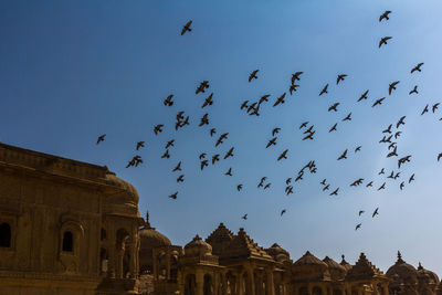 Low angle view of birds flying in sky