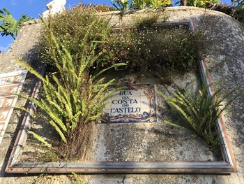 Close-up of text on glass