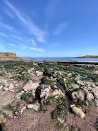 Scenic view of beach against blue sky