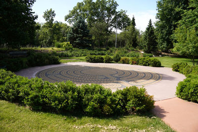 High angle view of trees in park
