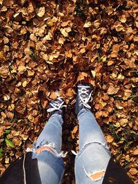 Low section of man standing on fallen leaves