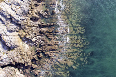 Aerial view of sea