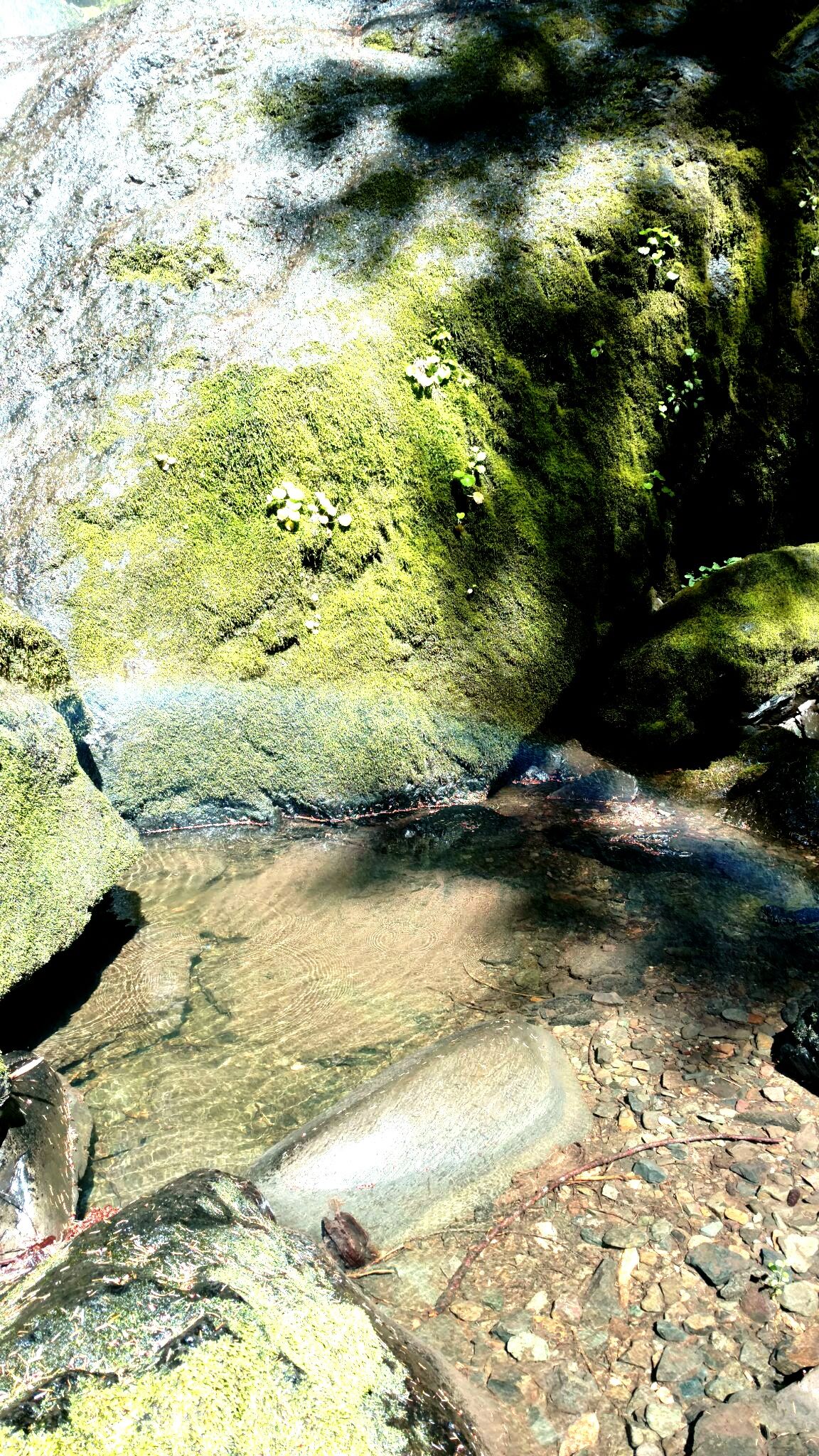 Grotto falls oregon