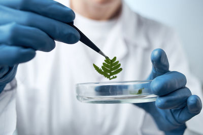 Midsection of scientist holding leaves in petri dish