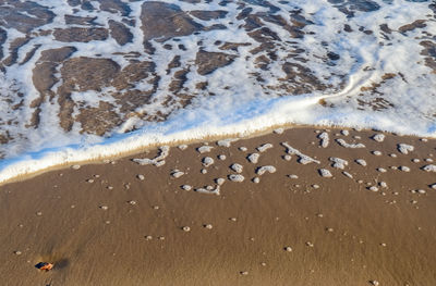 Beautiful view on sandy beaches at the baltic sea on a sunny day in northern europe