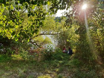 Rear view of people walking in forest