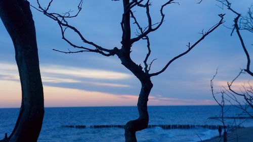 Scenic view of sea at sunset