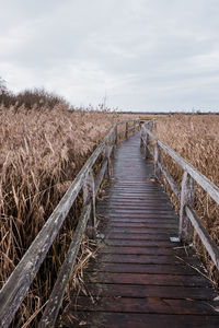 Boardwalk on field against sky