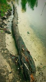 High angle view of driftwood on beach