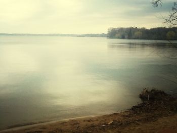 Reflection of trees in calm lake