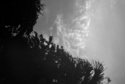 Low angle view of trees against sky