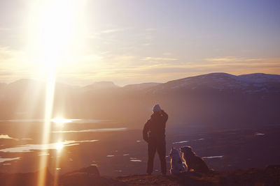 Person with dogs looking at mountains