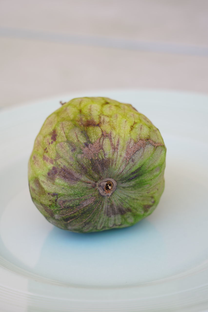 HIGH ANGLE VIEW OF FRUIT ON WHITE TABLE