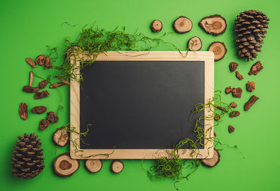 Directly above shot of green leaves on table