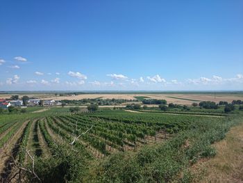 Scenic view of field against cloudy sky