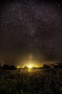 Plant growing on field at night