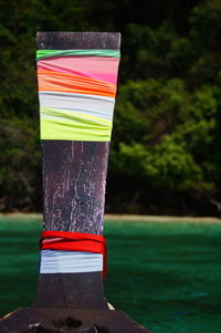 Close-up of multi colored umbrella against trees
