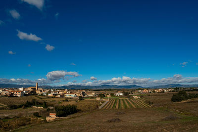 Scenic view of the field  of brafim against blue sky