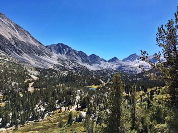 Trees growing by mountains against clear blue sky