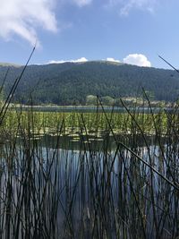 Scenic view of lake against sky