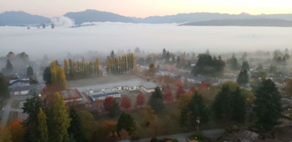 High angle view of trees and buildings in city