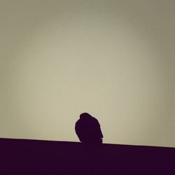 silhouette