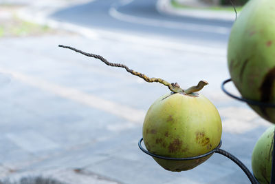 Close-up of apple on table