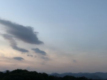 Low angle view of silhouette trees against sky during sunset