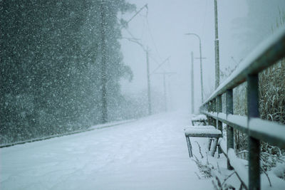 Snow covered road by trees