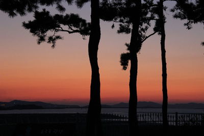 Silhouette trees by sea against sky at sunset