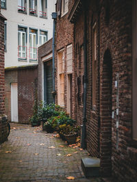 View of nice small streets in utrecht netherlands