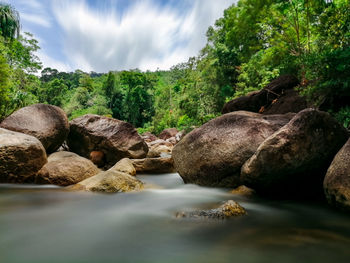 Rocks by river stream in forest against sky